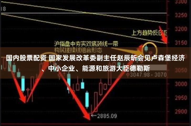 国内股票配资 国家发展改革委副主任赵辰昕会见卢森堡经济、中小企业、能源和旅游大臣德勒斯