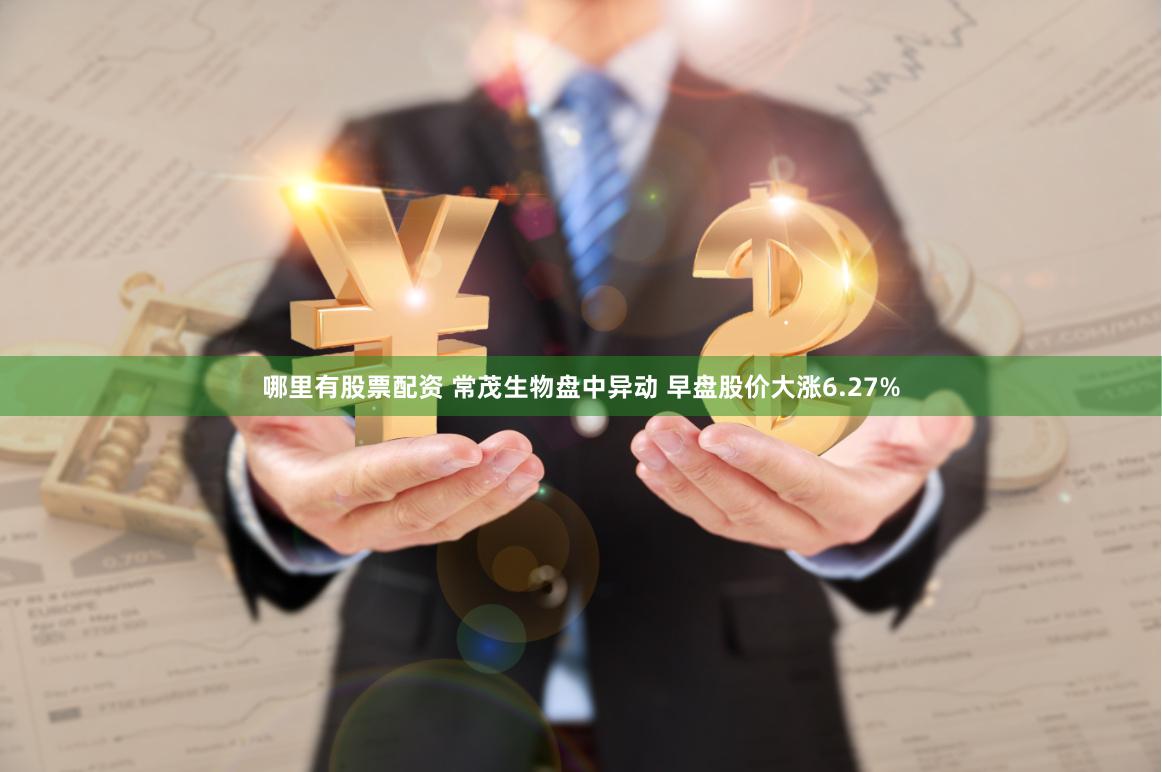 哪里有股票配资 常茂生物盘中异动 早盘股价大涨6.27%