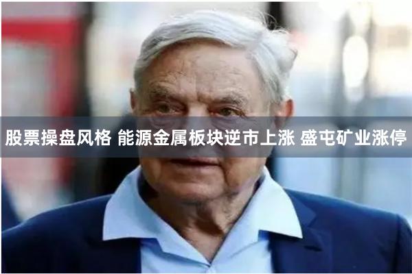 股票操盘风格 能源金属板块逆市上涨 盛屯矿业涨停
