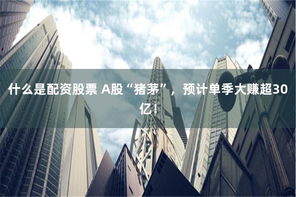 什么是配资股票 A股“猪茅”，预计单季大赚超30亿！