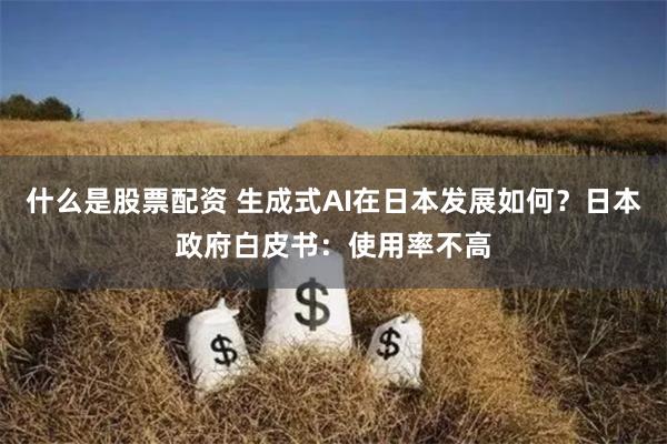 什么是股票配资 生成式AI在日本发展如何？日本政府白皮书：使