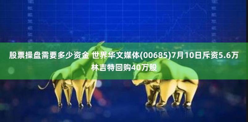 股票操盘需要多少资金 世界华文媒体(00685)7月10日斥资5.6万林吉特回购40万股