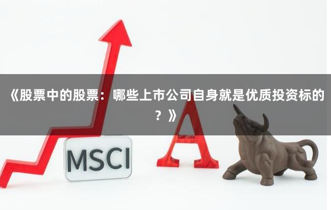 《股票中的股票：哪些上市公司自身就是优质投资标的？》