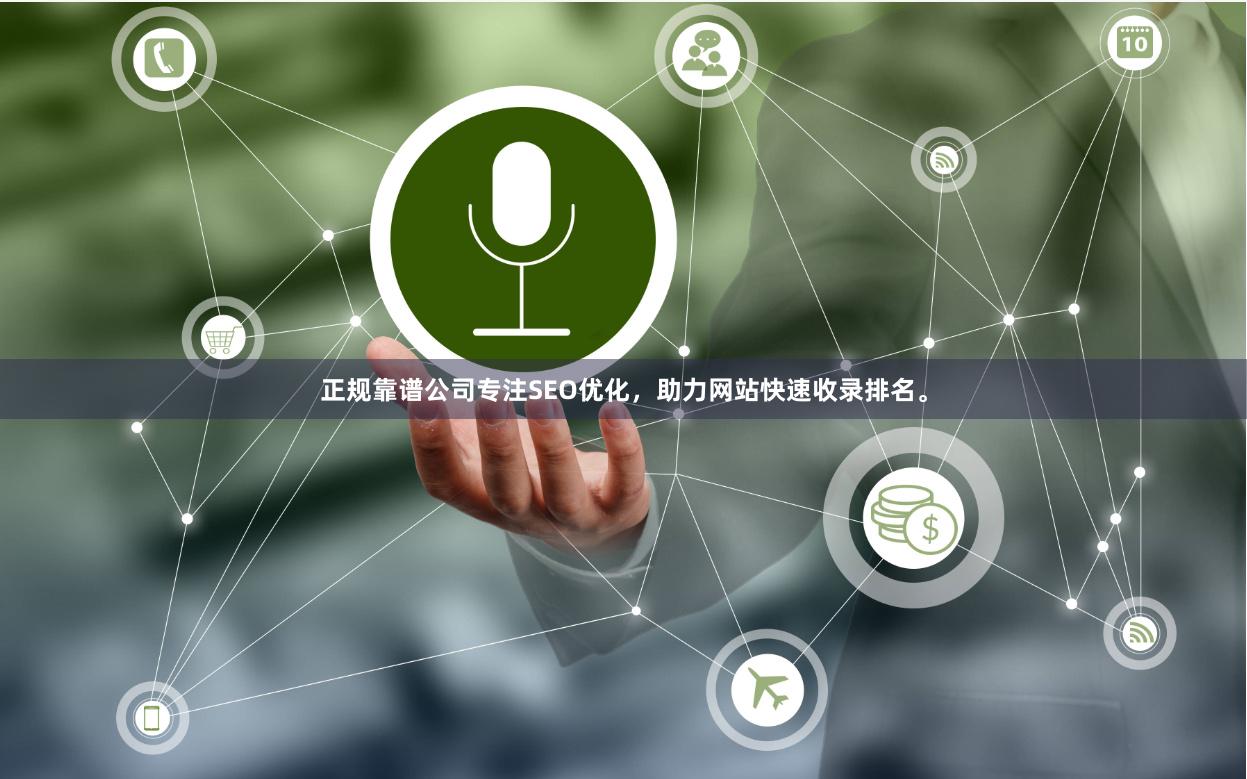 正规靠谱公司专注SEO优化，助力网站快速收录排名。